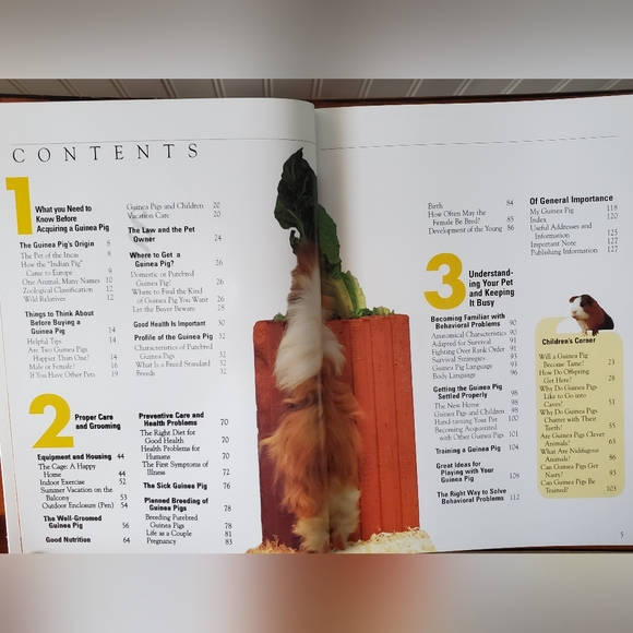 Guinea Pigs Care Guide Bk - Picture 5 of 5